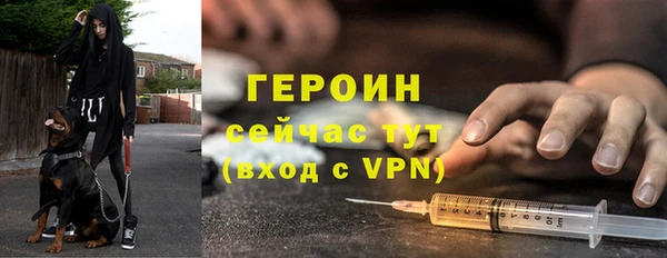 прущие грибы Кулебаки