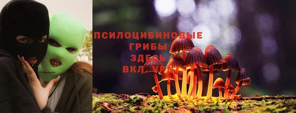 мет Кукмор
