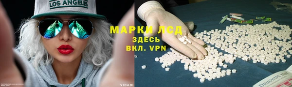 прущие грибы Кулебаки