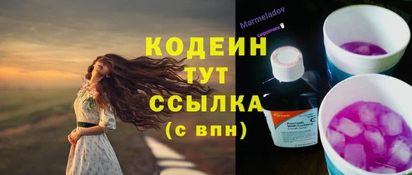 прущие грибы Кулебаки