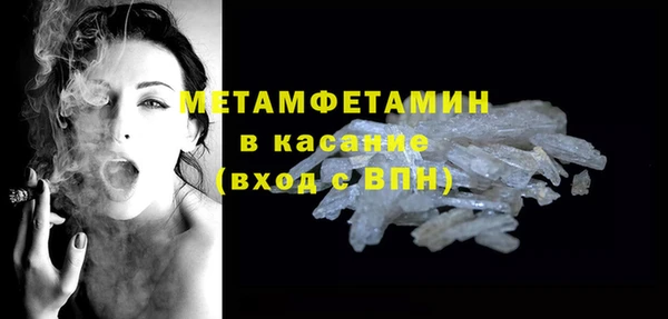 прущие грибы Кулебаки