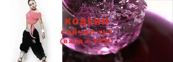 прущие грибы Кулебаки