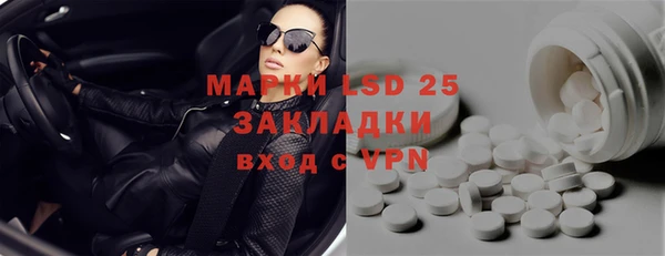 прущие грибы Кулебаки
