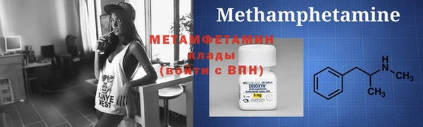 прущие грибы Кулебаки