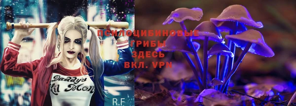 мет Кукмор