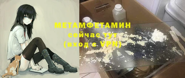 прущие грибы Кулебаки