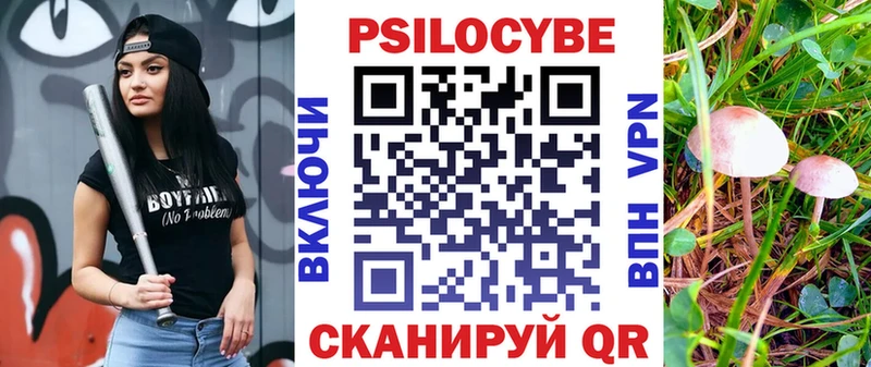 Псилоцибиновые грибы прущие грибы  Купить  Анива 